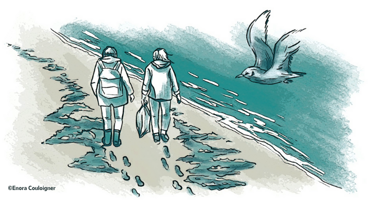 Face à la pollution marine, signalons les échouages d’oiseaux